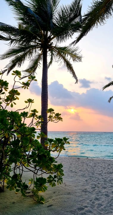 Strand Summer Island Maldives