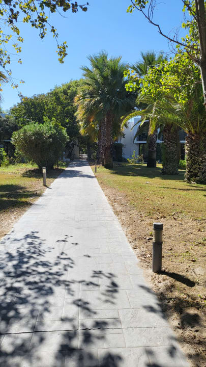 Gartenanlage Caravia Beach Hotel
