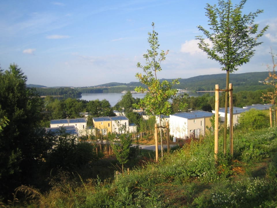 Unkraut Center Parcs Park Bostalsee