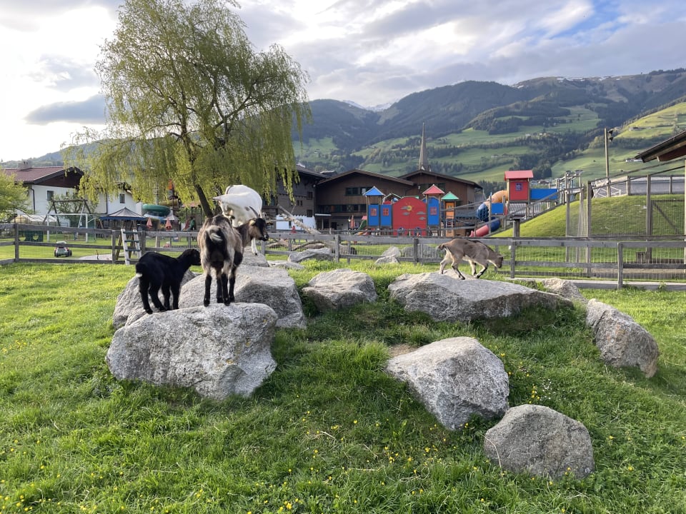 Sonstiges Kinderhotel Felben