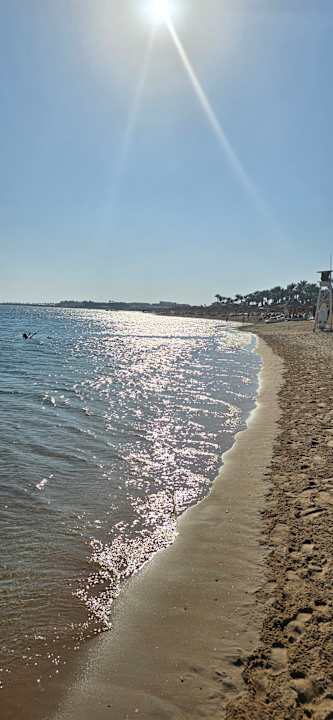 Sonstiges Hotel JAZ Makadi Star & Spa