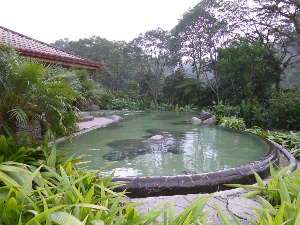 Gartenanlage Hotel Peace Lodge