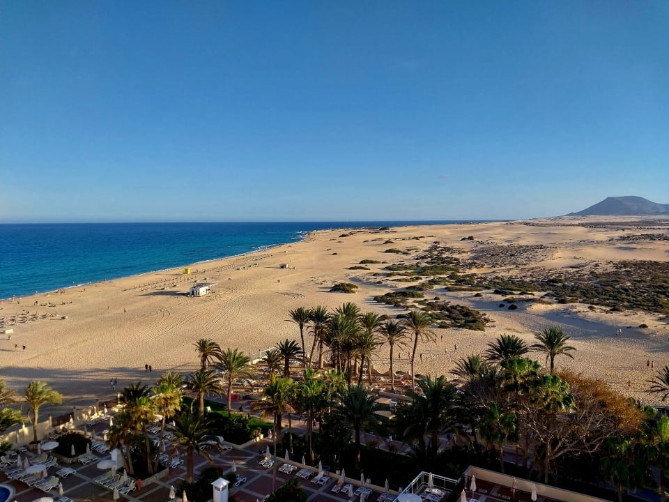 Zimmer Hotel Riu Oliva Beach Resort