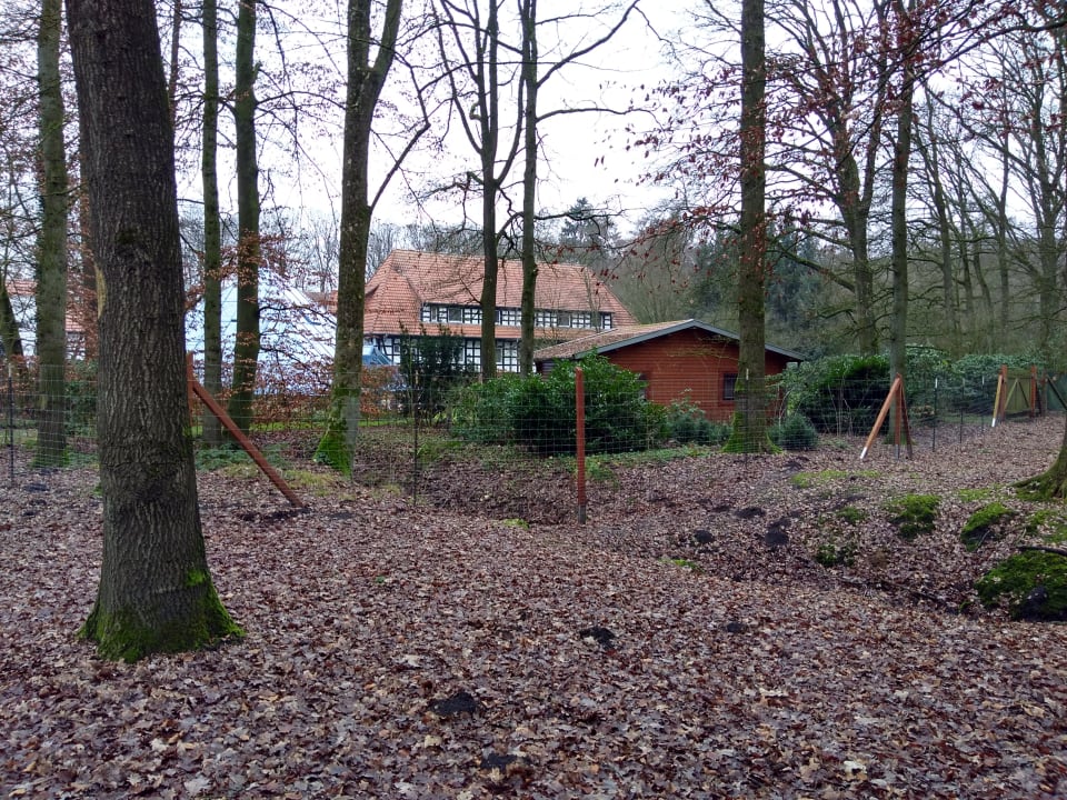 Gartenanlage Vila Vita Burghotel Dinklage