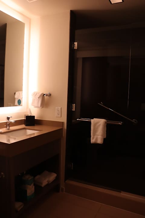 Zimmer Hyatt House Atlanta Downtown
