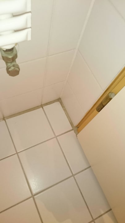 Bad IFA Alpenrose Hotel Kleinwalsertal