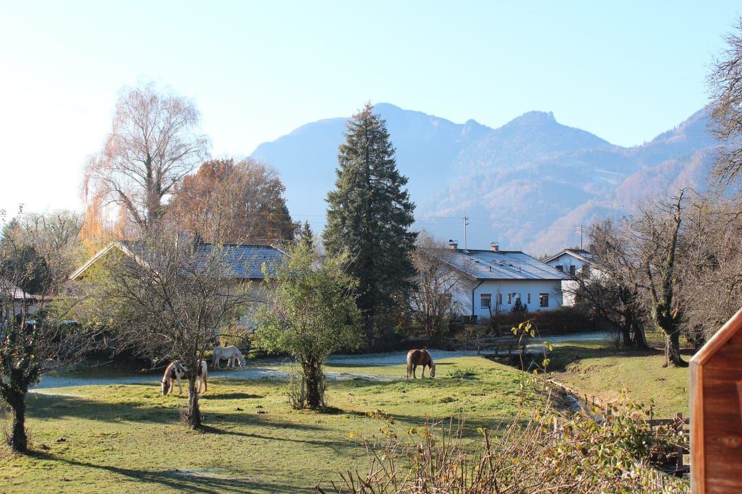 Ausblick Ferienwohnungen Fetznhof Zuhäusl