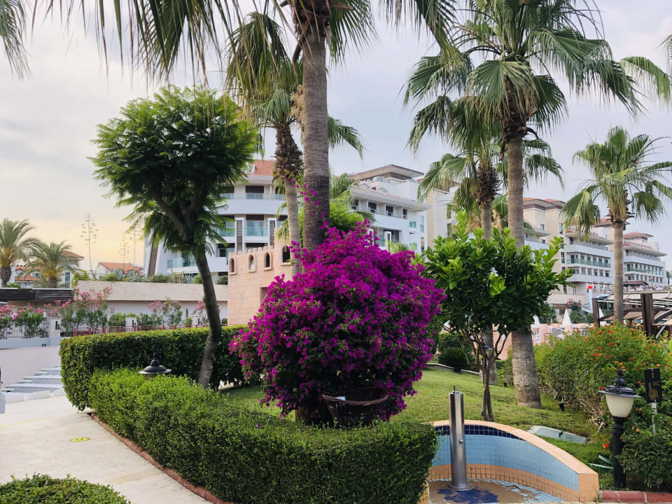 Gartenanlage Aydinbey Kings Palace & Spa