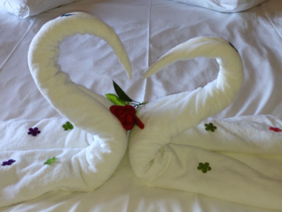 Das war sehr schön an zusehen  Hotel Delphin Palace