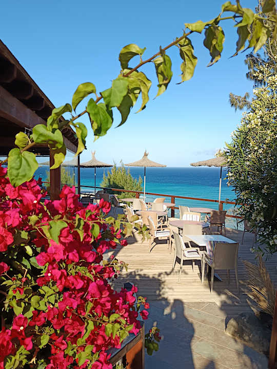 Gastro Marina Playa Suite Hotel