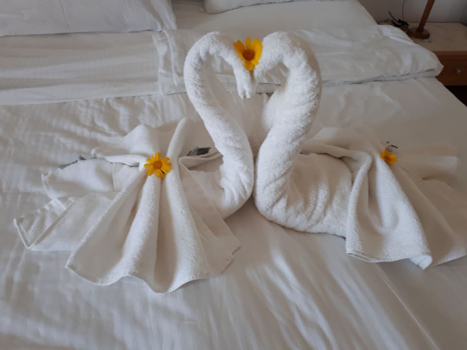 Zimmer Mitsis Ramira