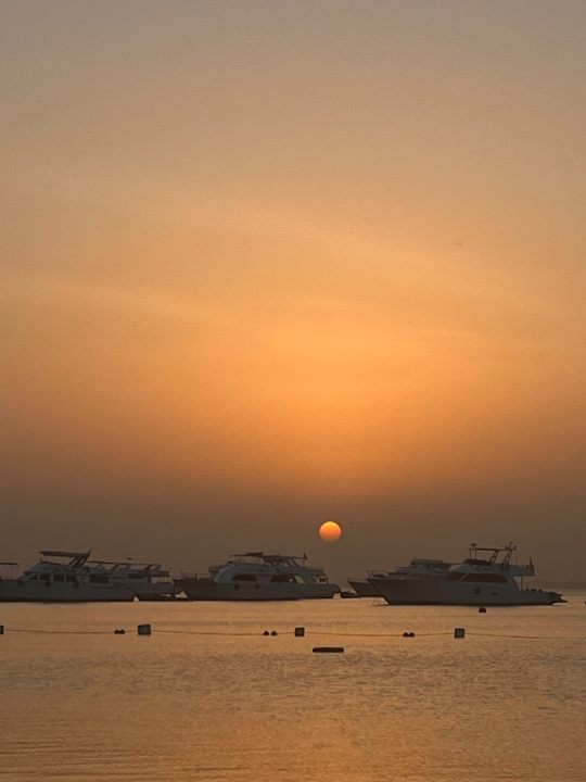 Ausblick The Grand Palace - Adults only