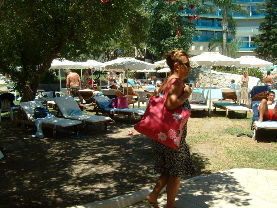 Liegewiese? Hotel Calypso Beach