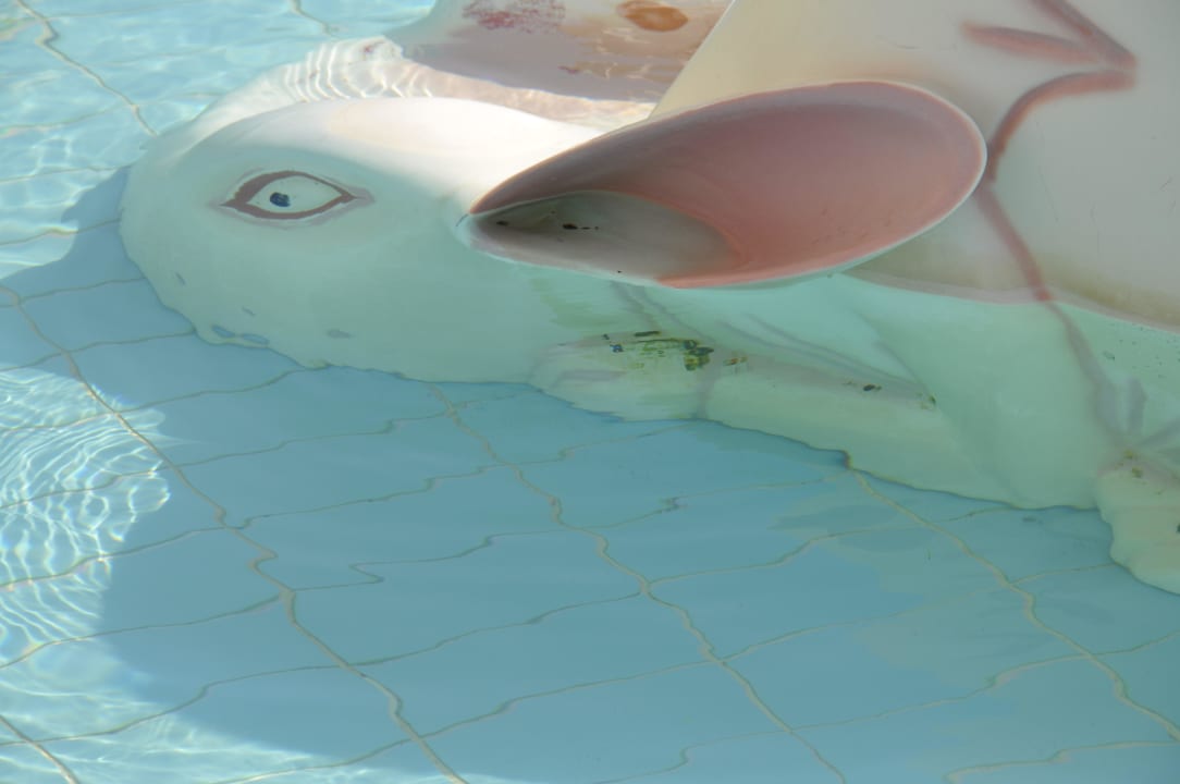 Kinderpool Atlantica Mikri Poli Kos