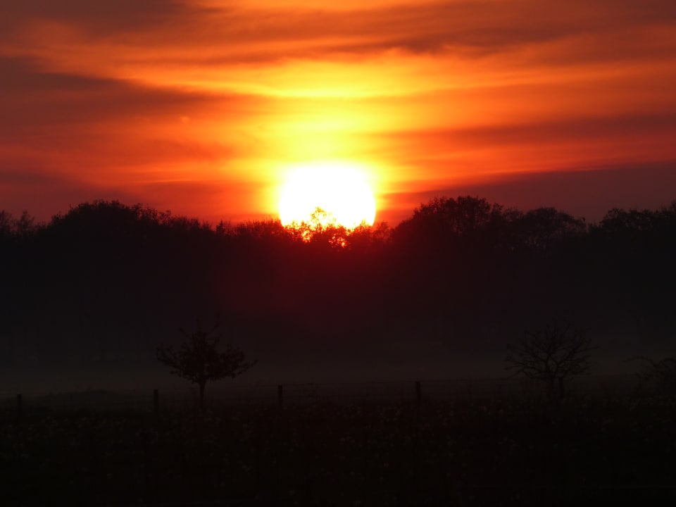Sonstiges Ferienhof Röhling