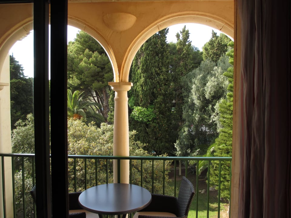 Blick in den alten Baumbestand Lago Garden