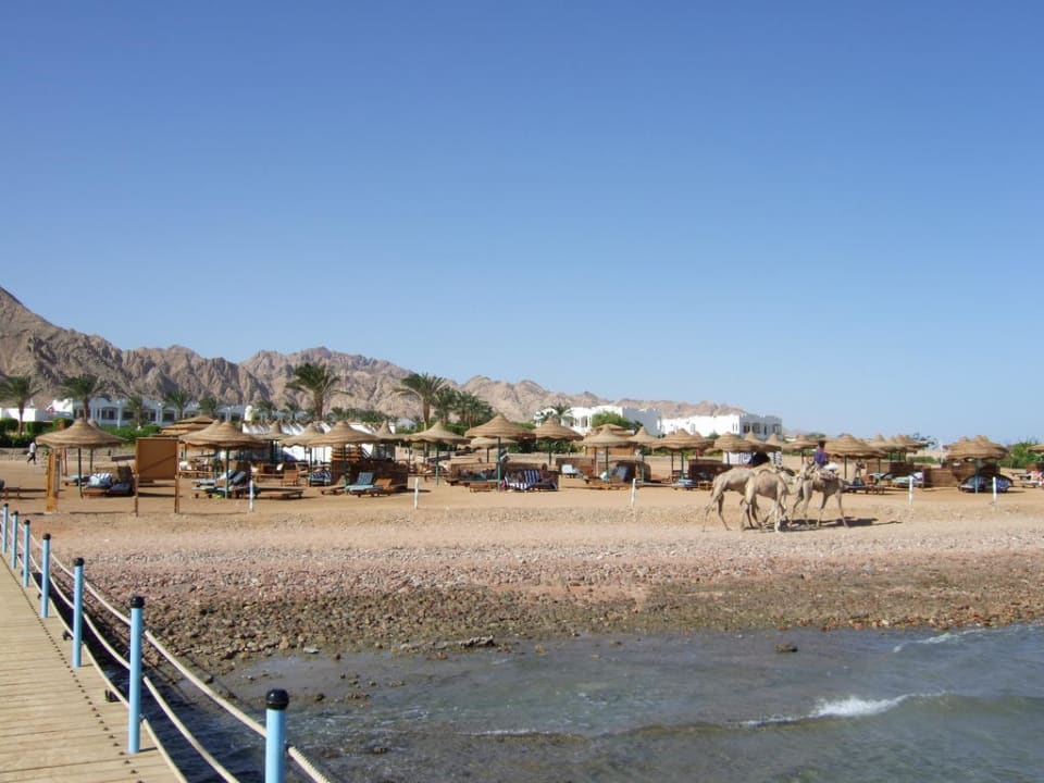Blick vom Steg auf Strand Happy Life Village