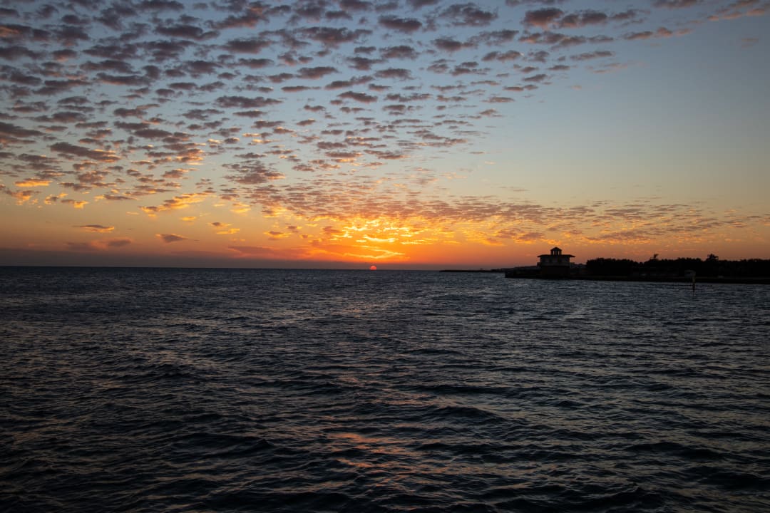 Ausblick Desert Rose
