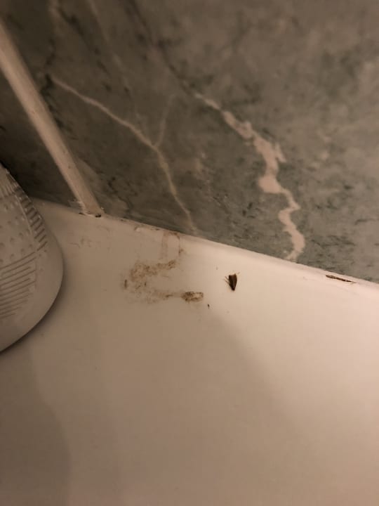 Zimmer Treehouse Hotel London