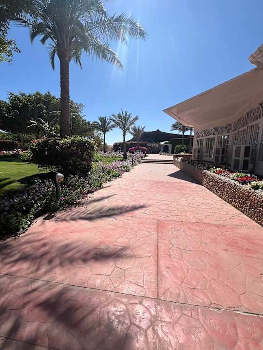 Gartenanlage Desert Rose