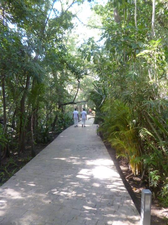 Weg zum Strand Viva Heavens by Wyndham - All Inclusive Resort