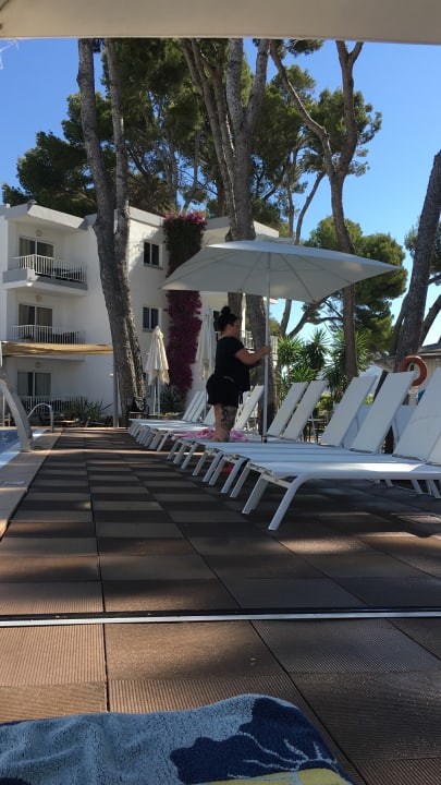 Sonstiges Sofia Alcudia Beach