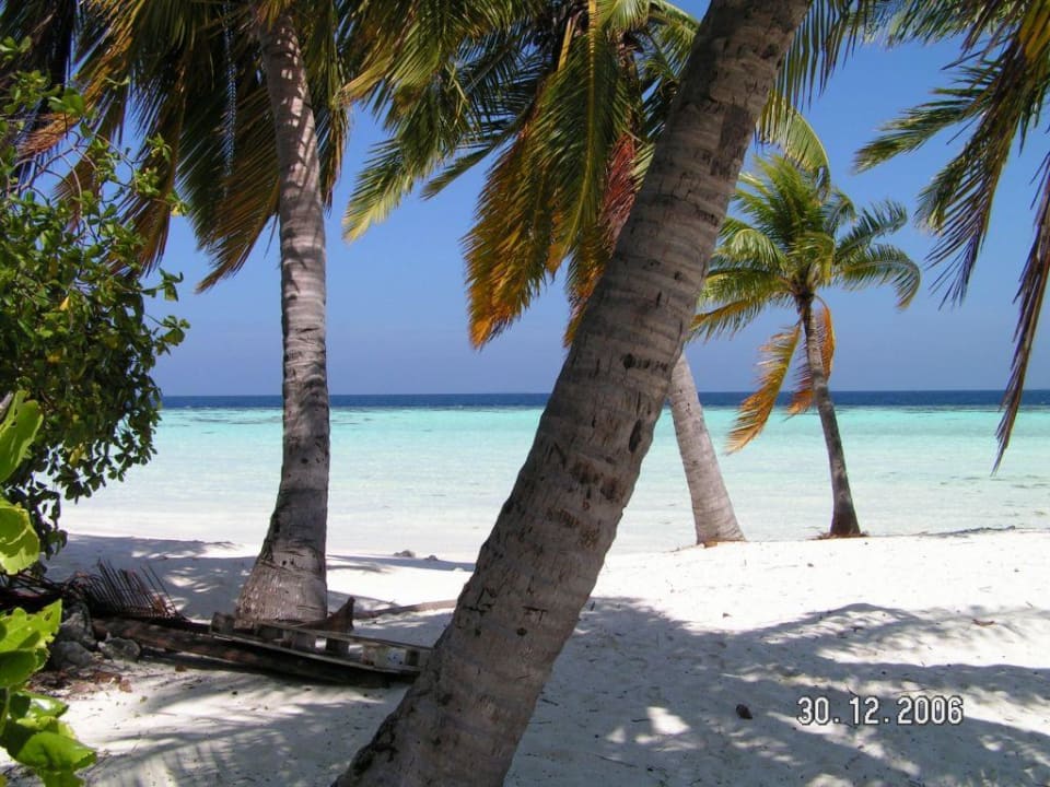 Desert Island Lily Beach Resort & Spa