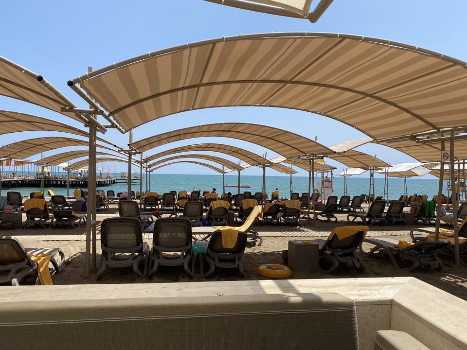 Strand Papillon Ayscha