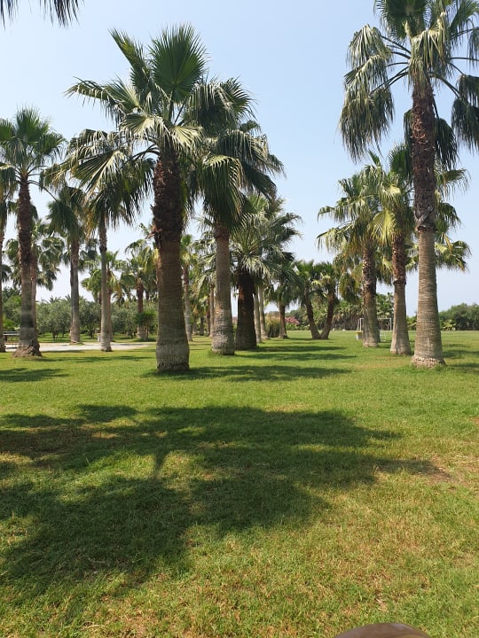 Gartenanlage Seaden Sea World Resort & Spa