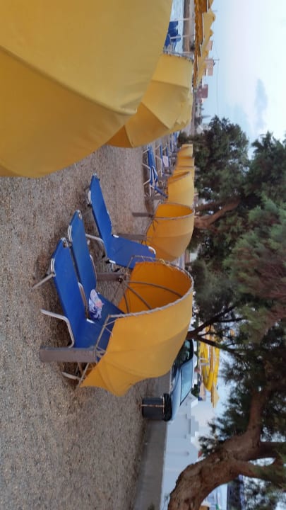 Hotel Serita Beach 2016 Hotel Serita Beach