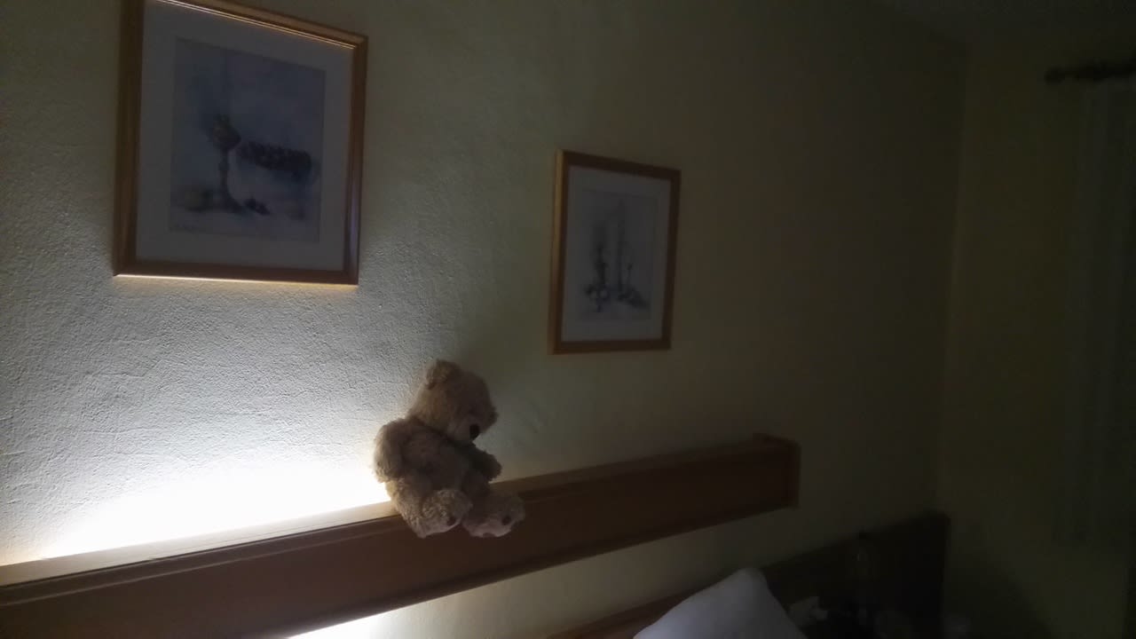 Zimmer Hotel Weisses Ross