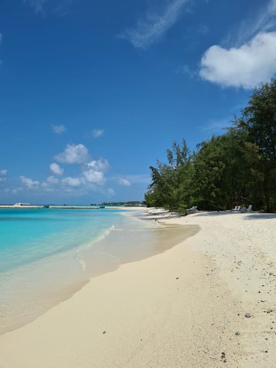 Strand Summer Island Maldives