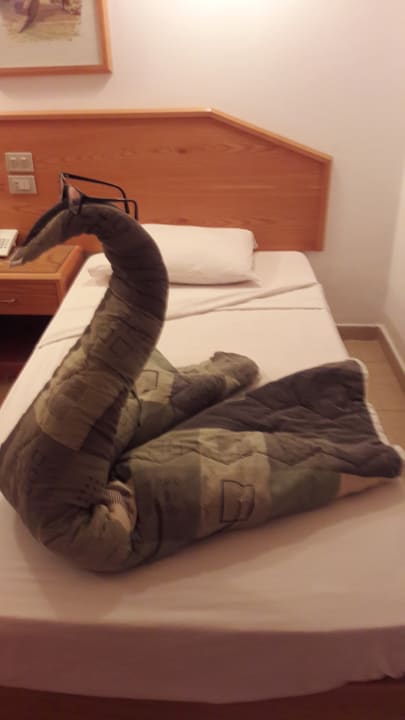 Zimmer Menaville Safaga