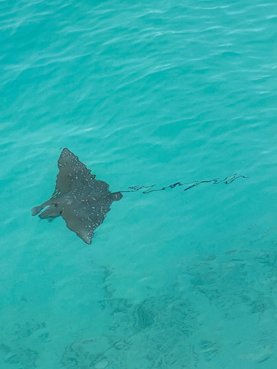 Ausblick OBLU SELECT Lobigili