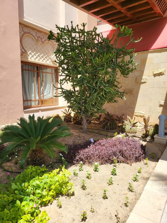 Gartenanlage Pickalbatros Palace Resort