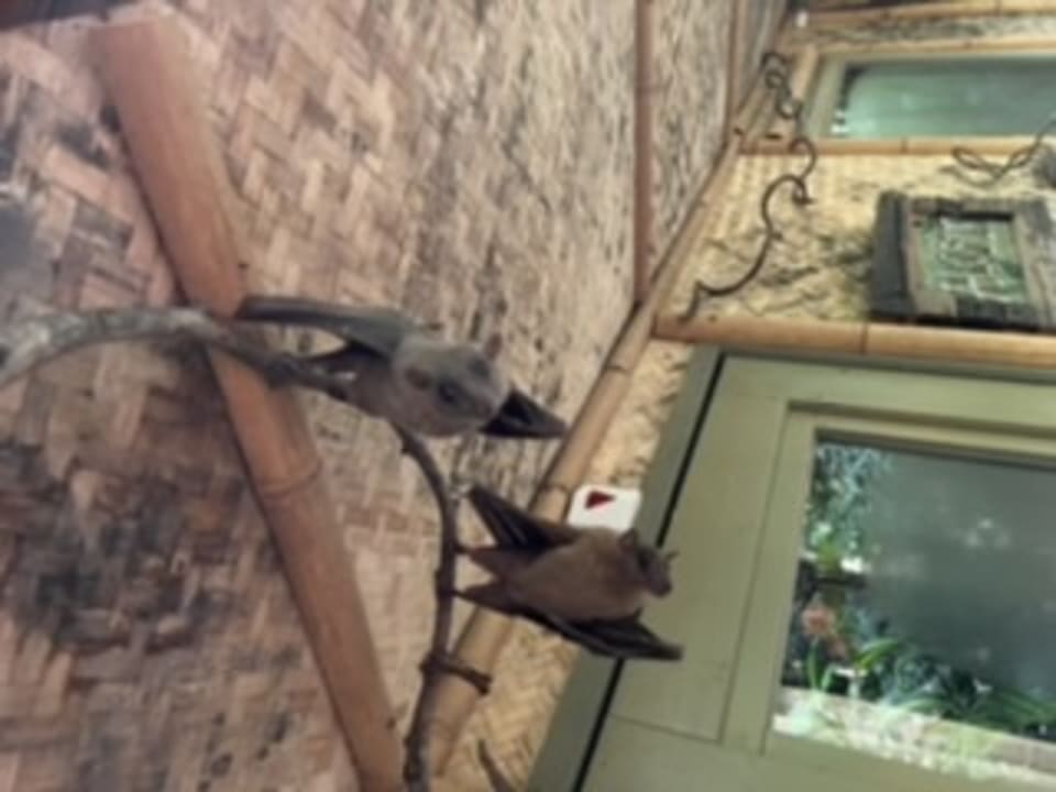 Gartenanlage Center Parcs Het Heijderbos