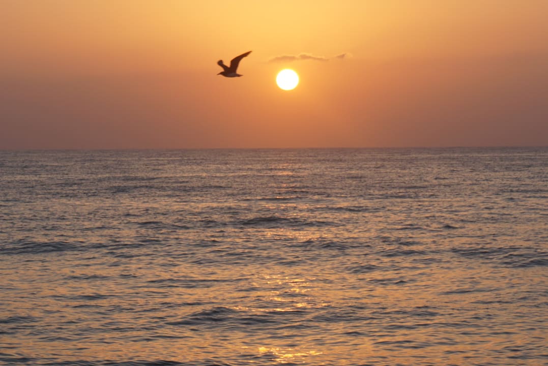 Strand Salalah Rotana Resort