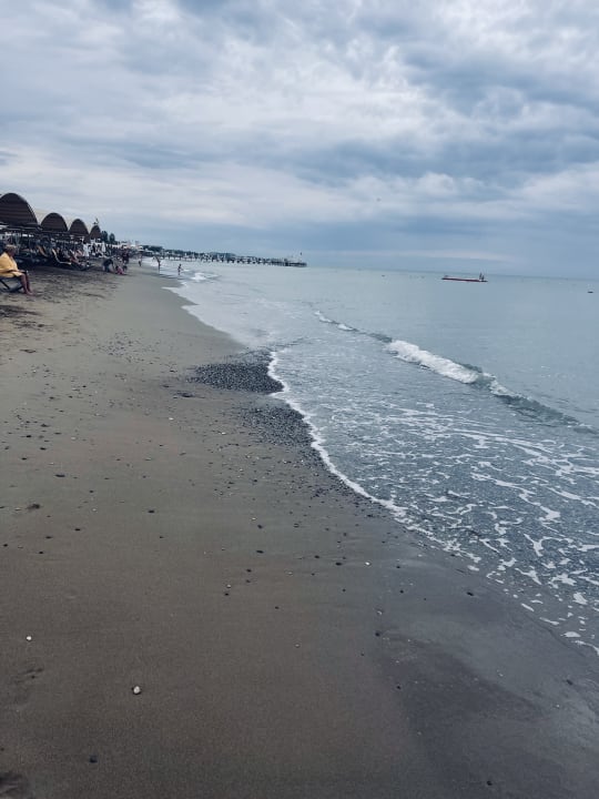 Strand Papillon Belvil