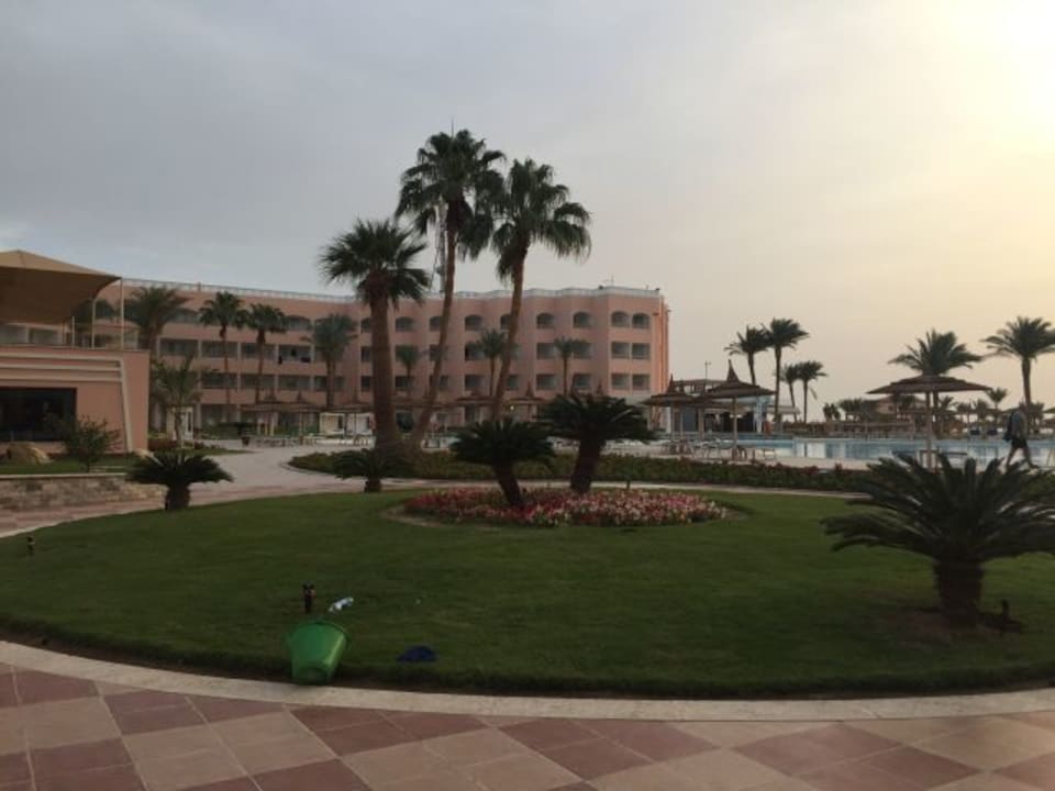 Blick zum Pool Beach Albatros Resort