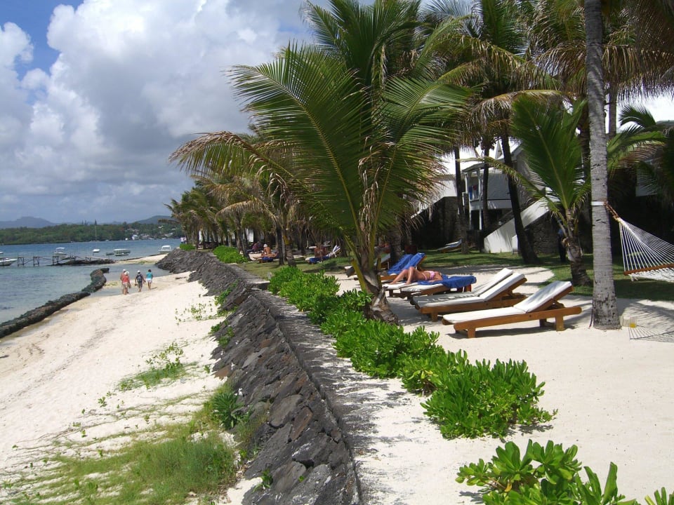 Strand und Liegebereich Tropical Attitude - Adults only