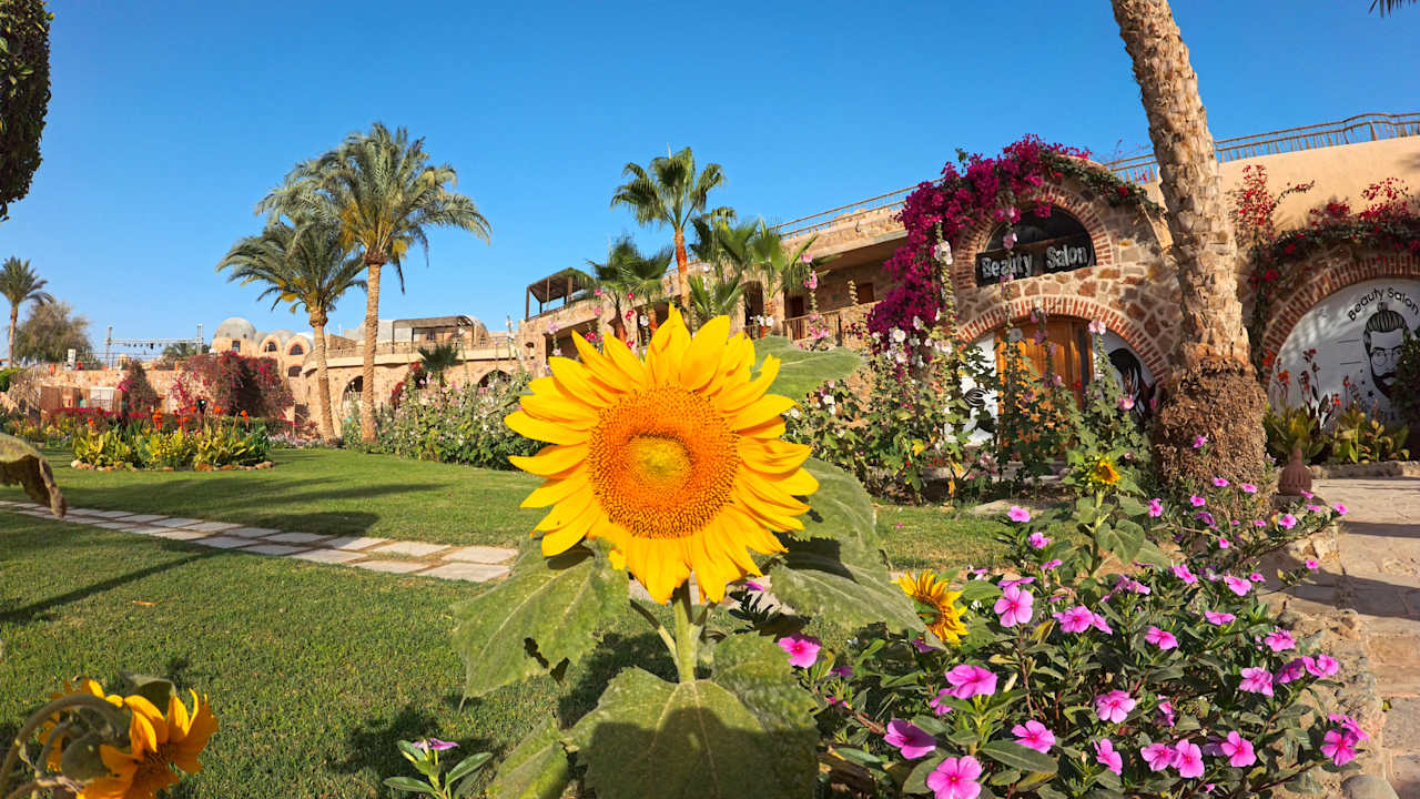 Gartenanlage Utopia Beach Club