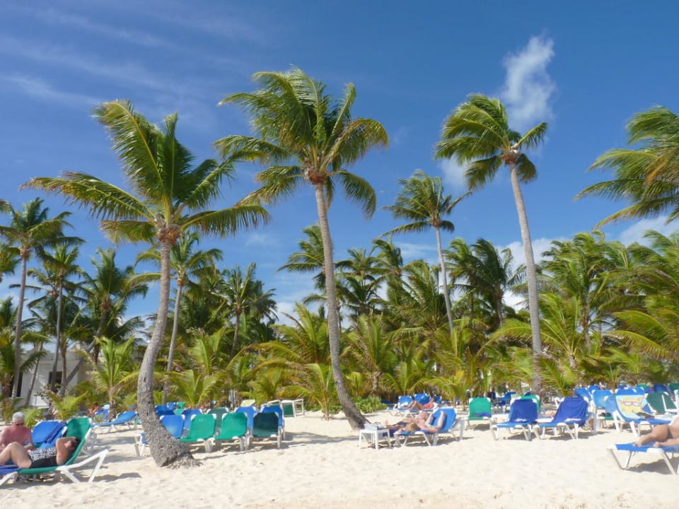 Plaża Hotel Riu Palace Punta Cana