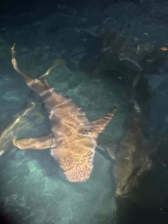 Sport & Freizeit Fihalhohi Maldives