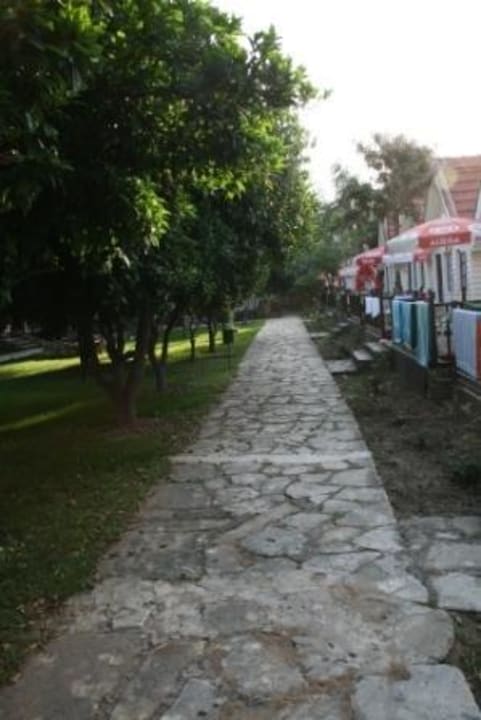 Und Zitronenbäume Clover Magic Nova Beach