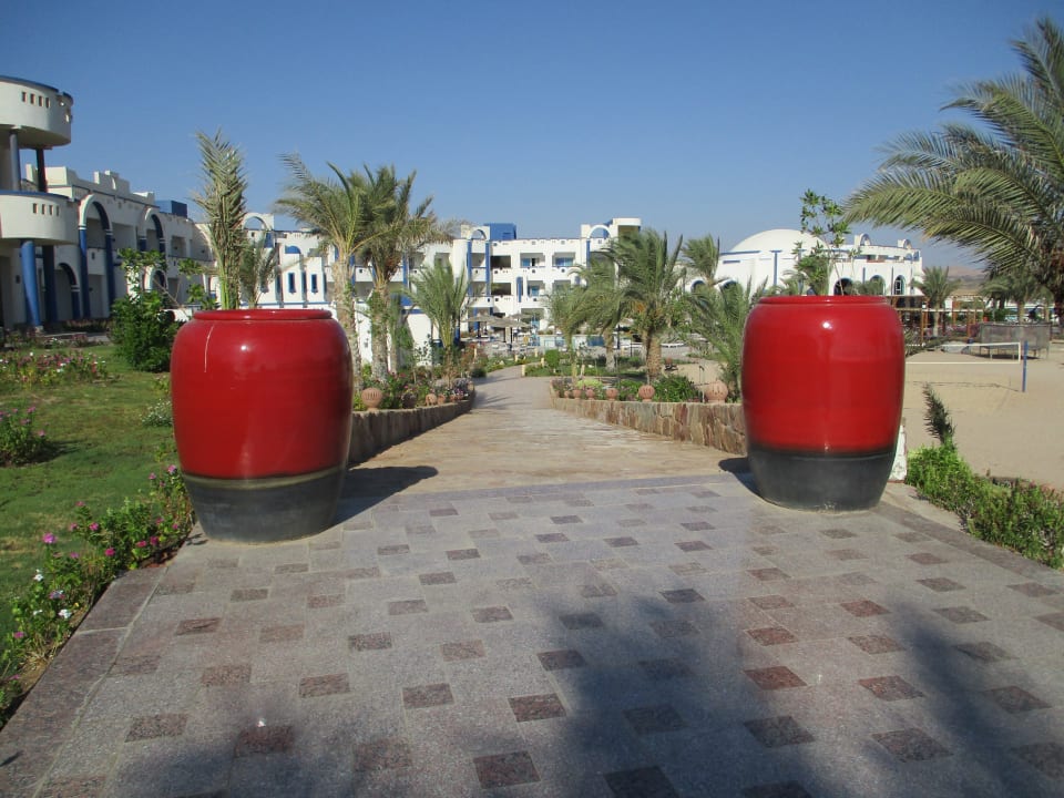 Gartenanlage Coral Sun Beach