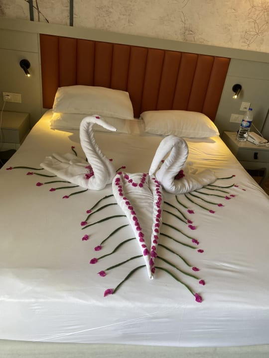 Zimmer Seaden Sea Planet Resort & Spa