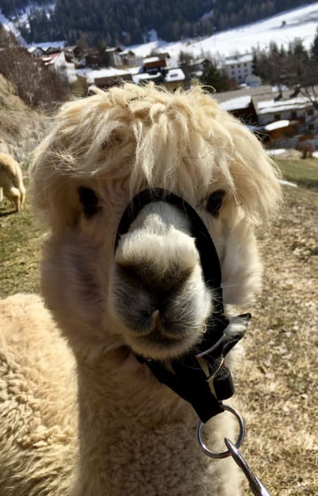 Sport & Freizeit Hotel Weisseespitze