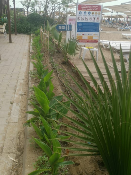 Strand Side Aquamarin Resort & Spa