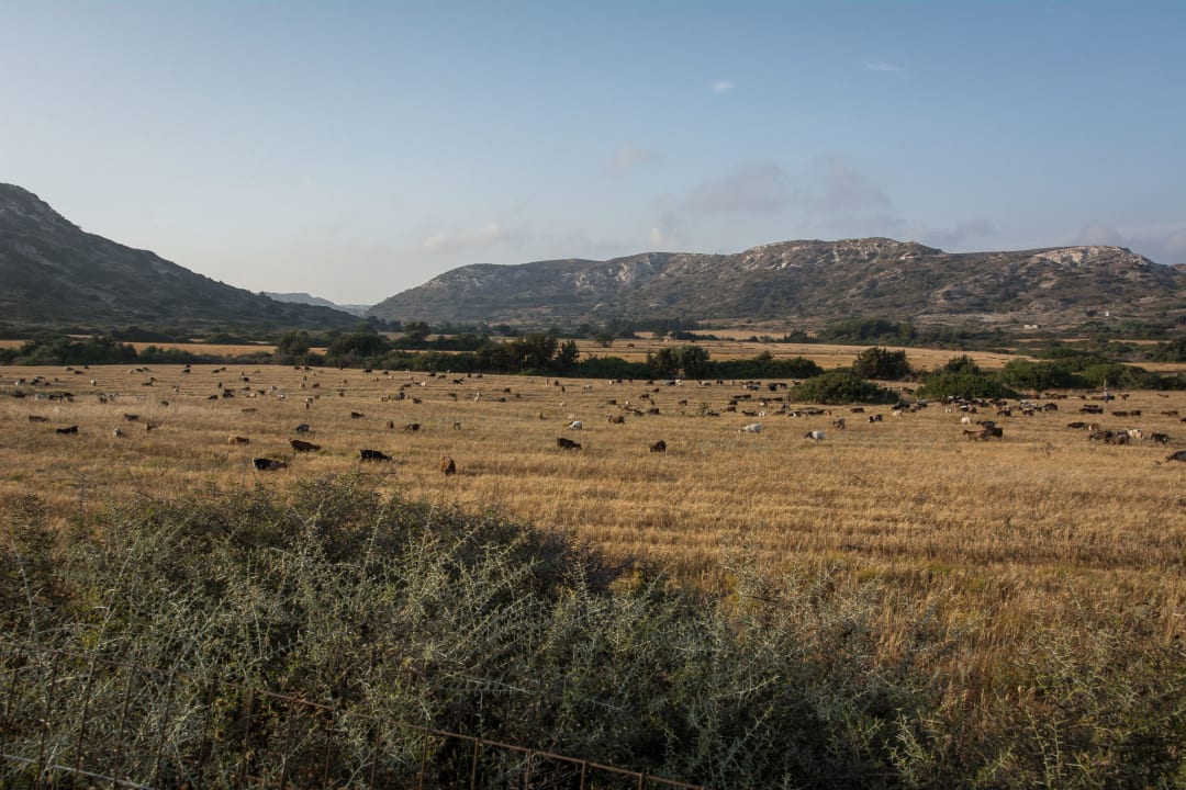 Ausblick Atlantica Belvedere Resort