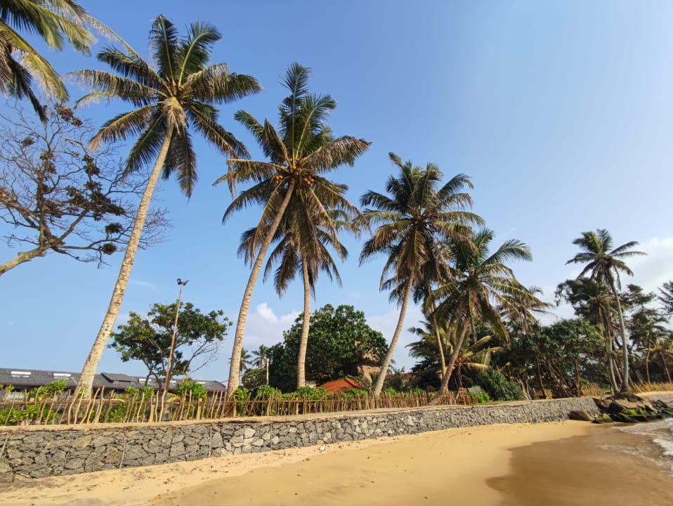 Strand Earl’s Reef Beruwala